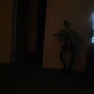 Meet your Posher, Don